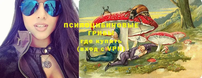 omg рабочий сайт  Кондопога  Псилоцибиновые грибы Psilocybe 